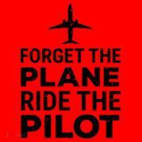Forget The Plane Ride The Pilot Funny Pilot Santa Hat thumb 1