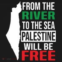 From The River To The Sea Palestine Will Be Free Women's Hoodie thumb 2