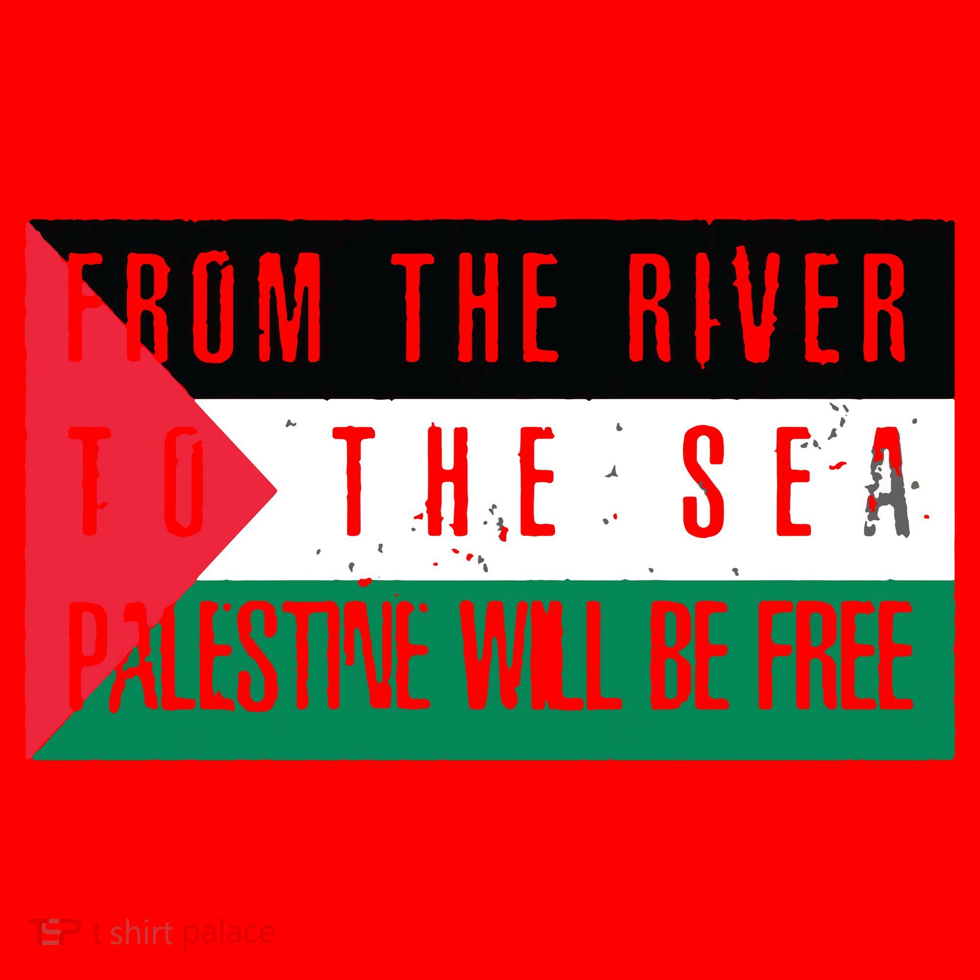 From The River To The Sea Palestine Will Be Free Santa Hat