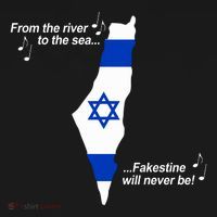From The River To The Sea Fakestine Will Never Be Israel Women's Hoodie thumb 2