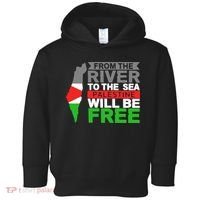 From The River To The Sea Palestine Will Be Free Toddler Hoodie thumb 0