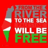 From The River To The Sea Palestine Will Be Free Santa Hat thumb 1