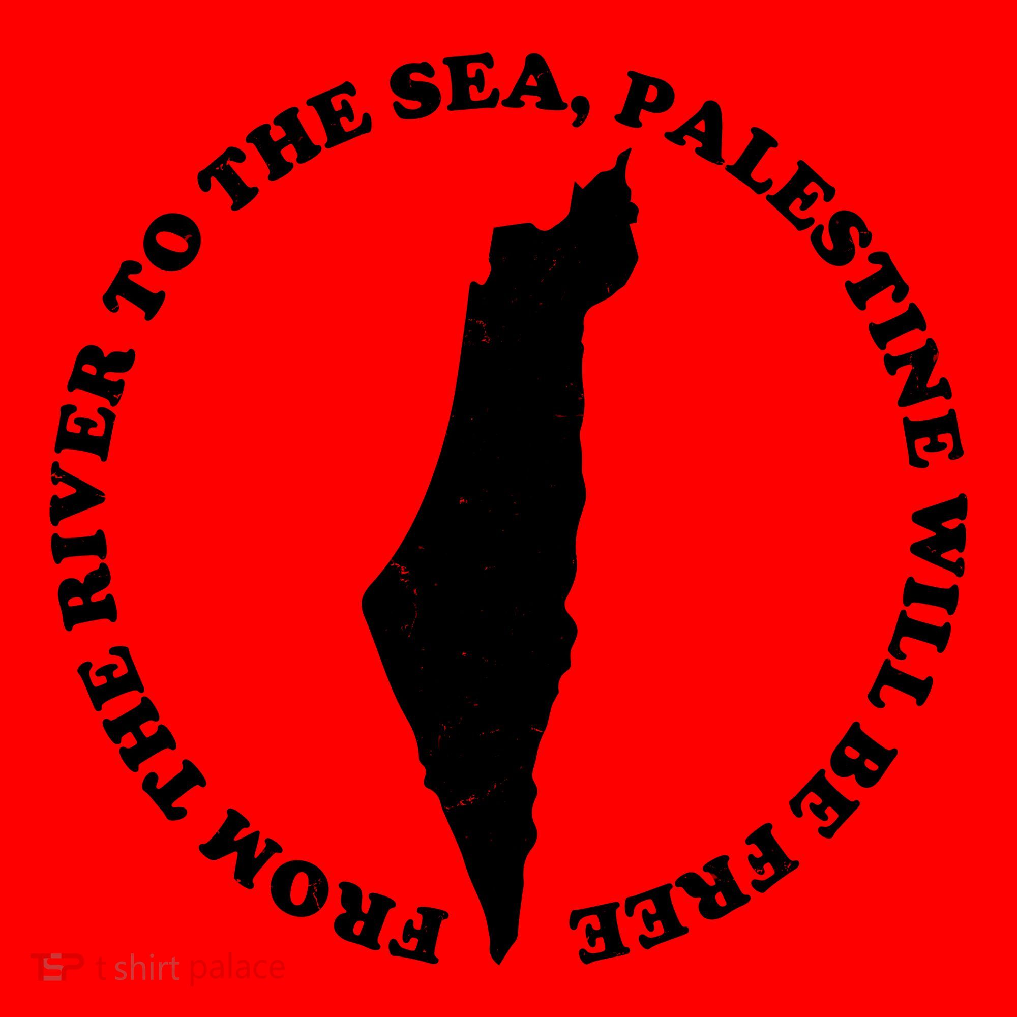 From The River To The Sea Palestine Will Be Free Santa Hat