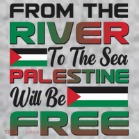 From The River To The Sea Palestine Will Be Free The Baniff Cuffed Pom Beanie thumb 2