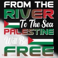 From The River To The Sea Palestine Will Be Free Toddler Fine Jersey T-Shirt thumb 2