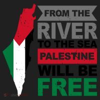 From The River To The Sea Palestine Will Be Free Ladies Heavyweight Boxy Pullover Hoodie thumb 2