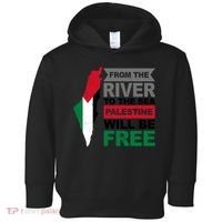 From The River To The Sea Palestine Will Be Free Toddler Hoodie thumb 0