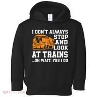 Funny Train Saying Freight Trains Trainspotter Toddler Hoodie thumb 0