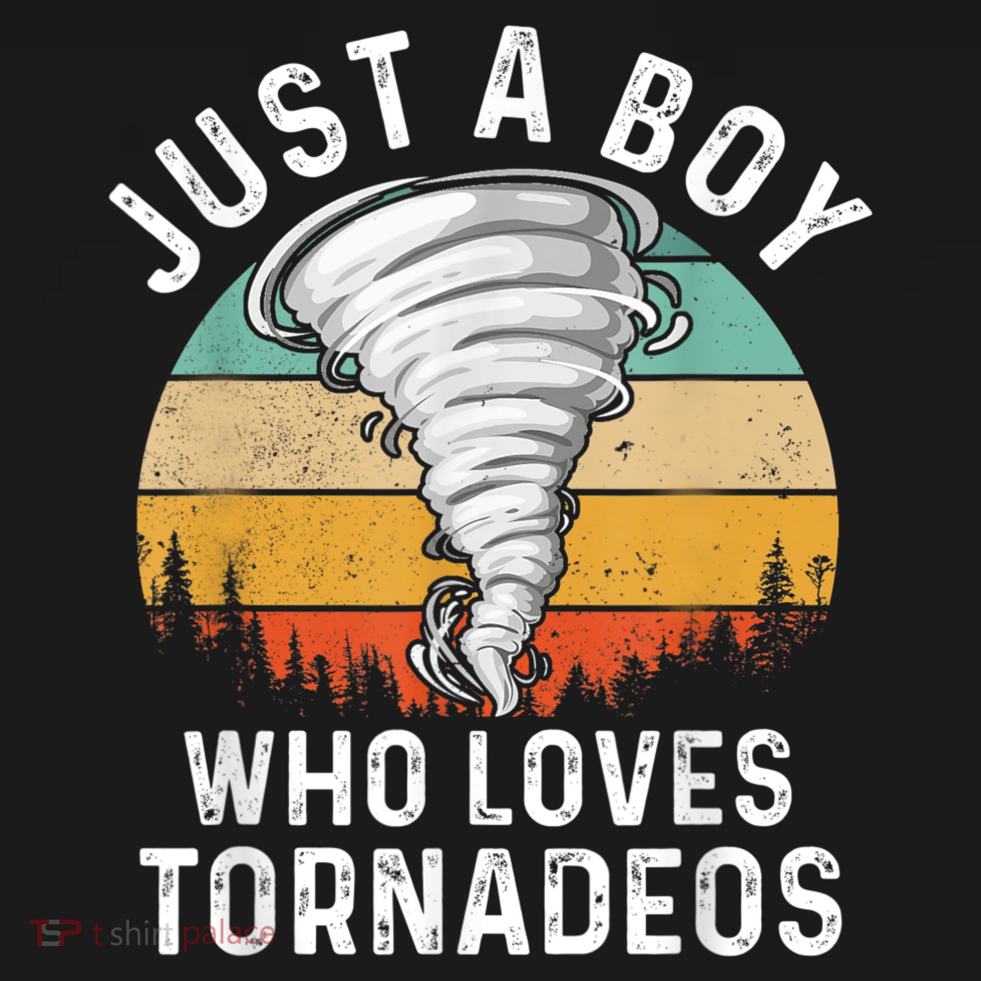 Funny Tornado Storm Chasing Twister Hurricane Boys Sweatshirt