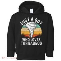 Funny Tornado Storm Chasing Twister Hurricane Boys Toddler Hoodie thumb 0