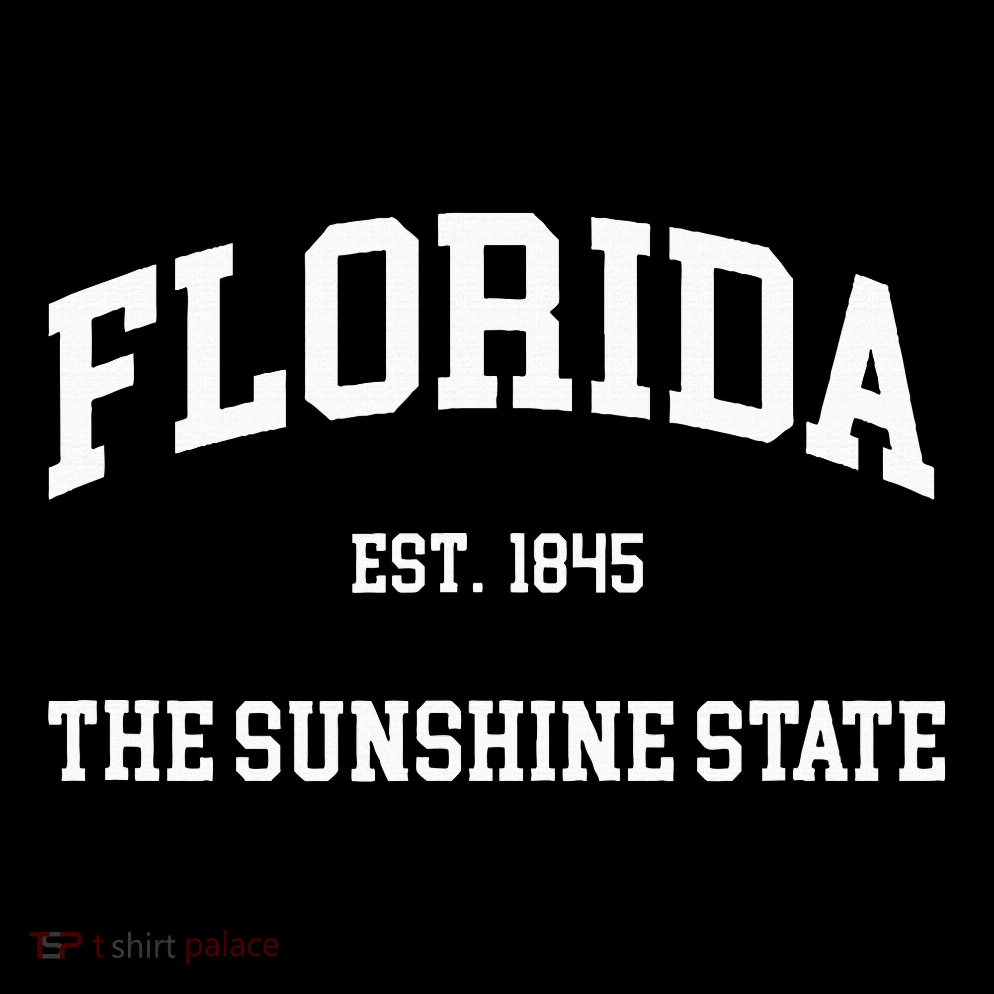 Florida The Sunshine State Hoodie