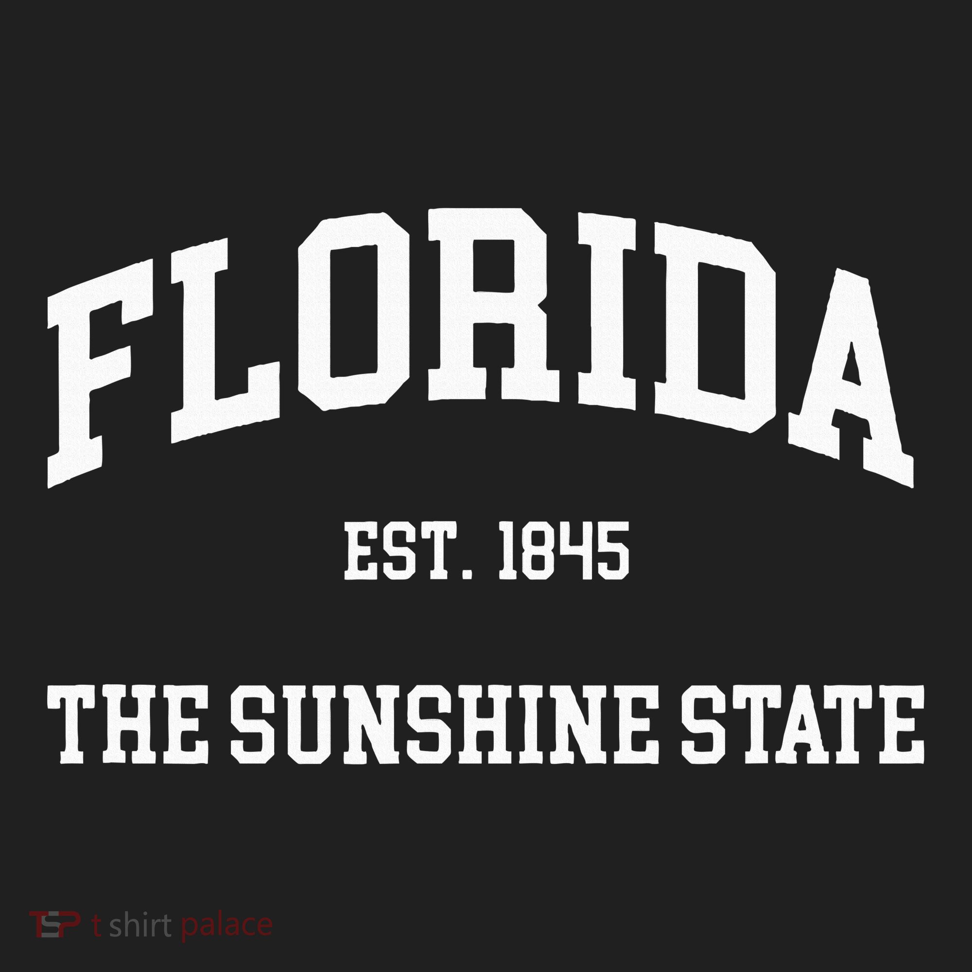 Florida The Sunshine State Beanie