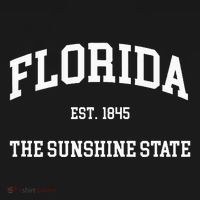 Florida The Sunshine State Toddler T-Shirt thumb 4
