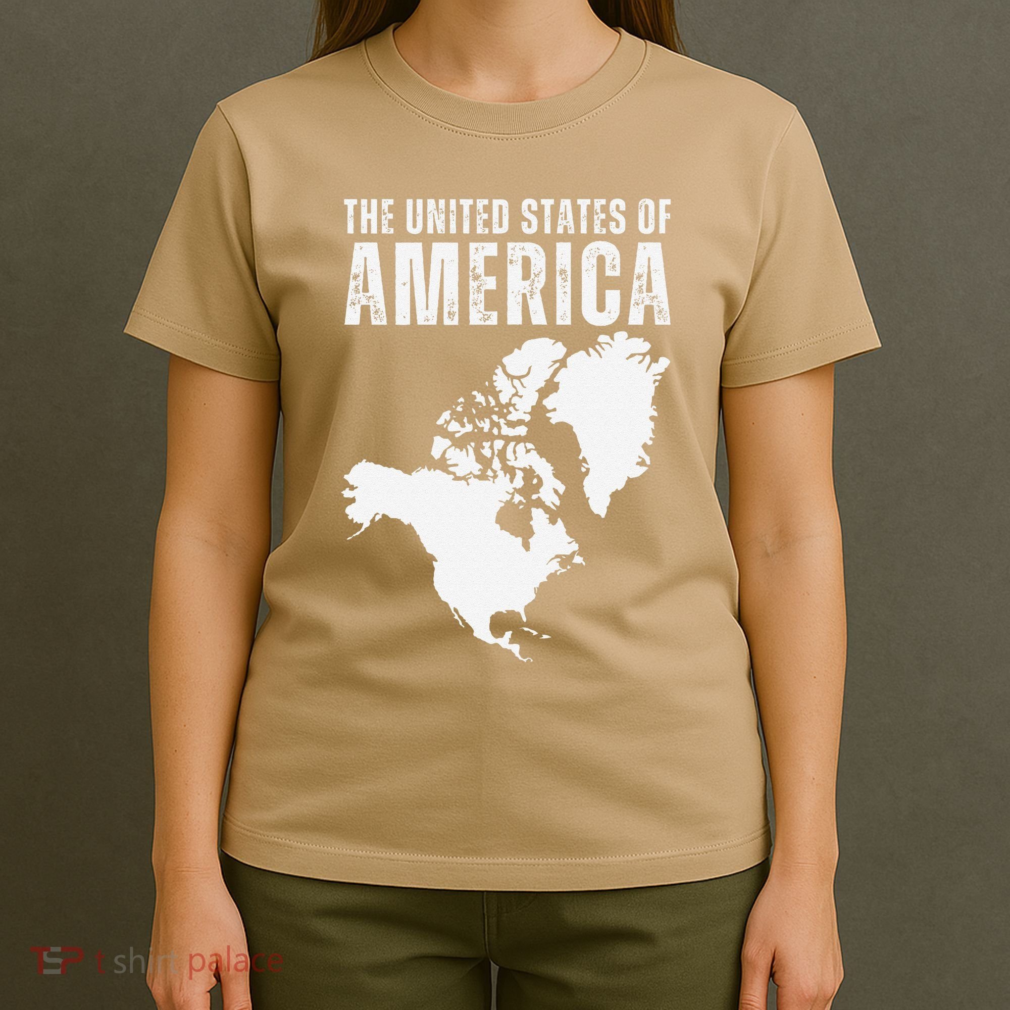 Funny Trump Speech American Flag Canada Greenland Gulf Map T-Shirt