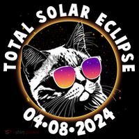 Funny Total Solar Eclipse April 8 2024 Sunglasses Cat Toddler Hoodie thumb 2
