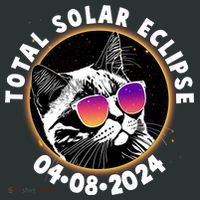 Funny Total Solar Eclipse April 8 2024 Sunglasses Cat Kids Long Sleeve Shirt thumb 2