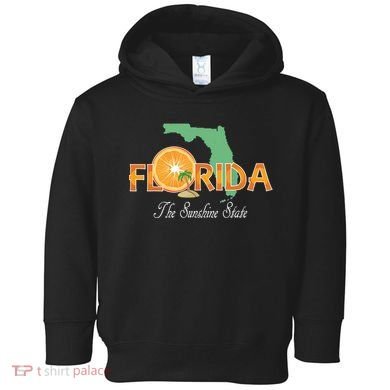 Florida The Sunshine State Fl Souvenir Toddler Hoodie