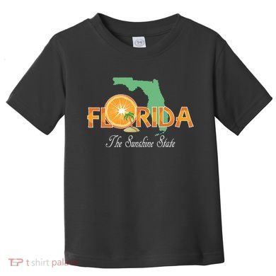Florida The Sunshine State Fl Souvenir Toddler T-Shirt