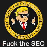 Fuck The Sec Mcmxxxiv Us Securities And Exchange Commission Visor thumb 3