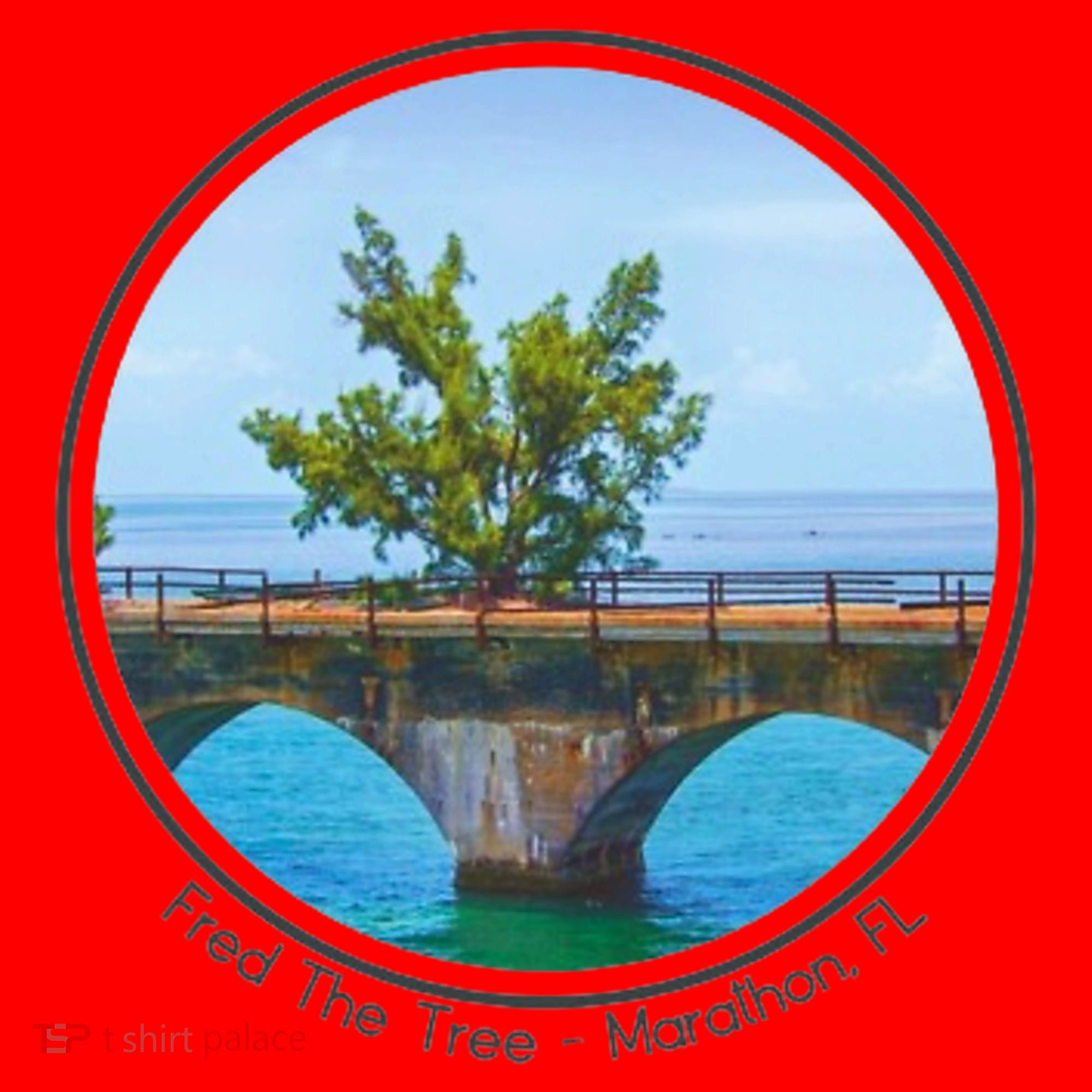 Fred The Tree Marathon Fl 7 Mile Bridge Tree Of Hope Santa Hat
