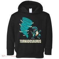 Funny Tornado T Rex Tornado Chaser Toddler Hoodie thumb 0