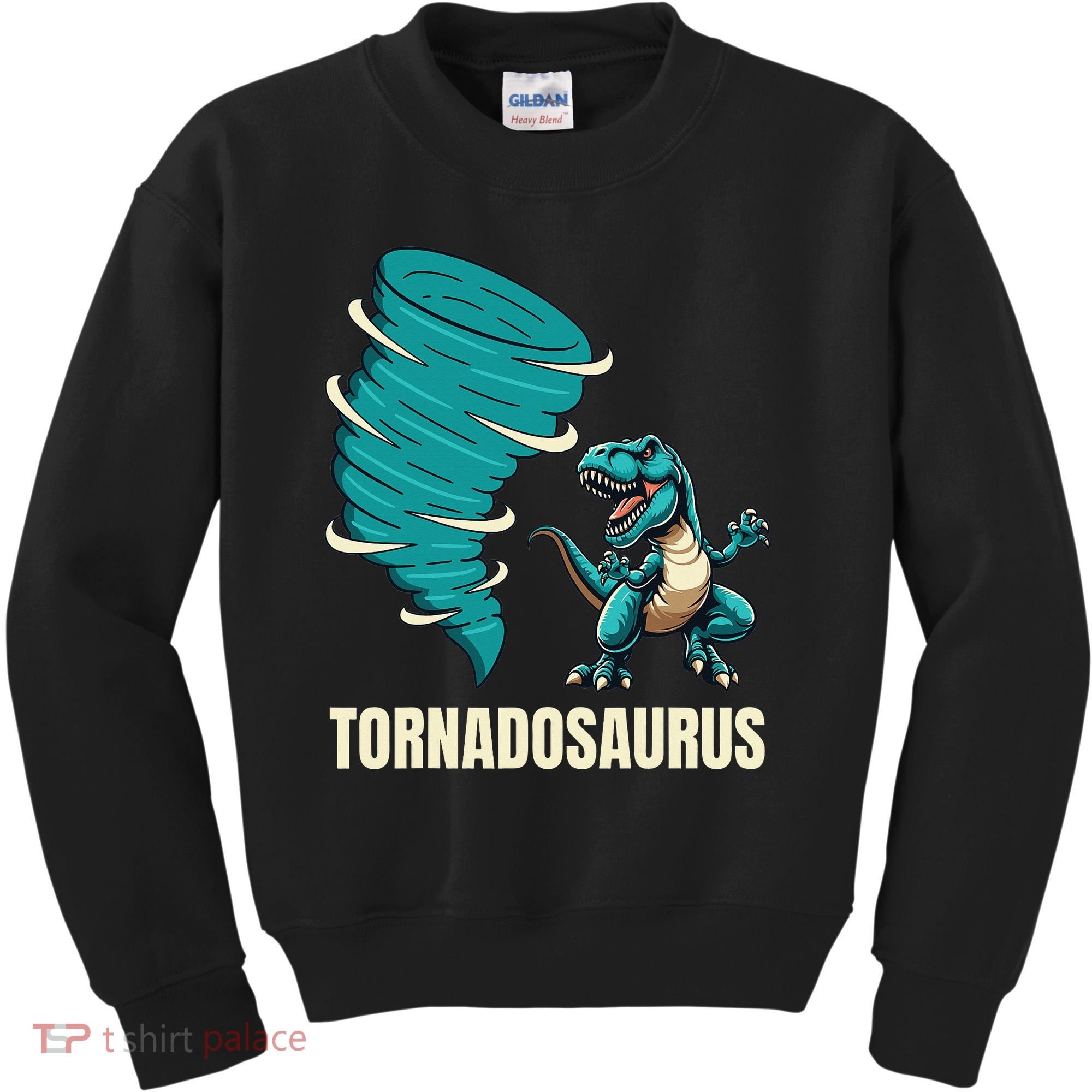 Funny Tornado T Rex Tornado Chaser Kids Sweatshirt