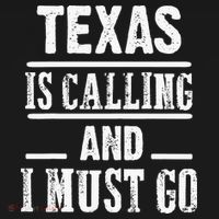 funny Traveling Texas is calling and I must go Kids Sweatshirt thumb 2