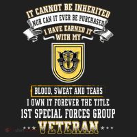 Forever The Title 1st Special Forces Group Veteran Day Xmas Funny Gift Beanie thumb 2
