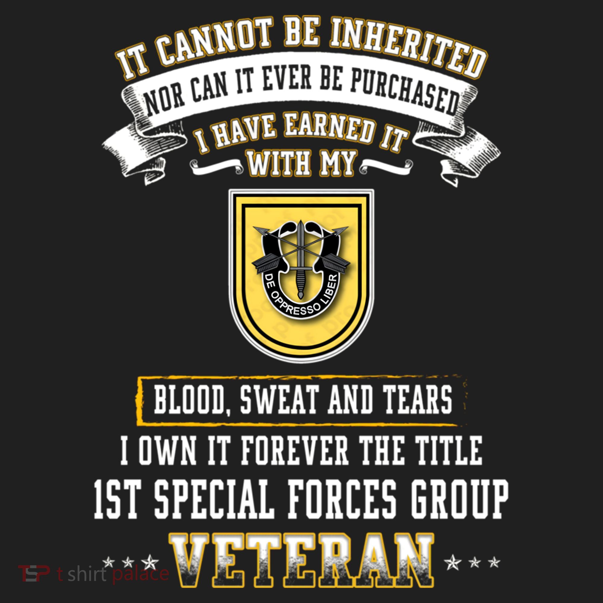 Forever The Title 1st Special Forces Group Veteran Day Xmas Funny Gift Beanie