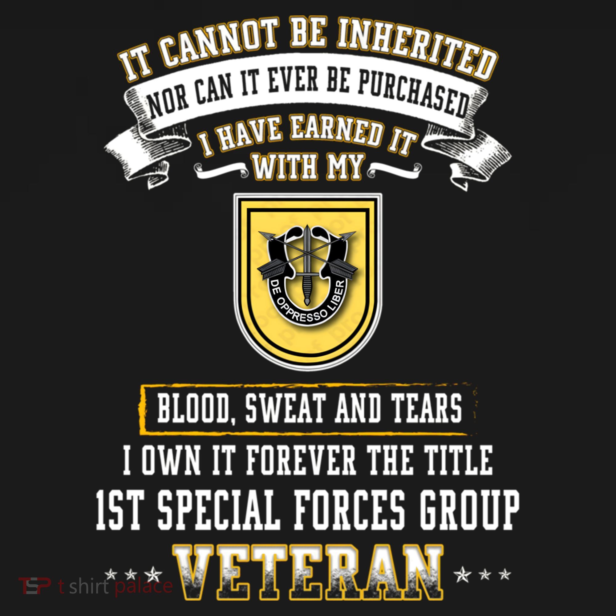 Forever The Title 1st Special Forces Group Veteran Day Xmas Funny Gift Women's Hoodie