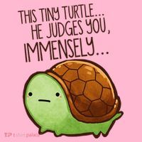 Funny This Tiny Turtle... He Judges You, Immensely. Coaster thumb 2