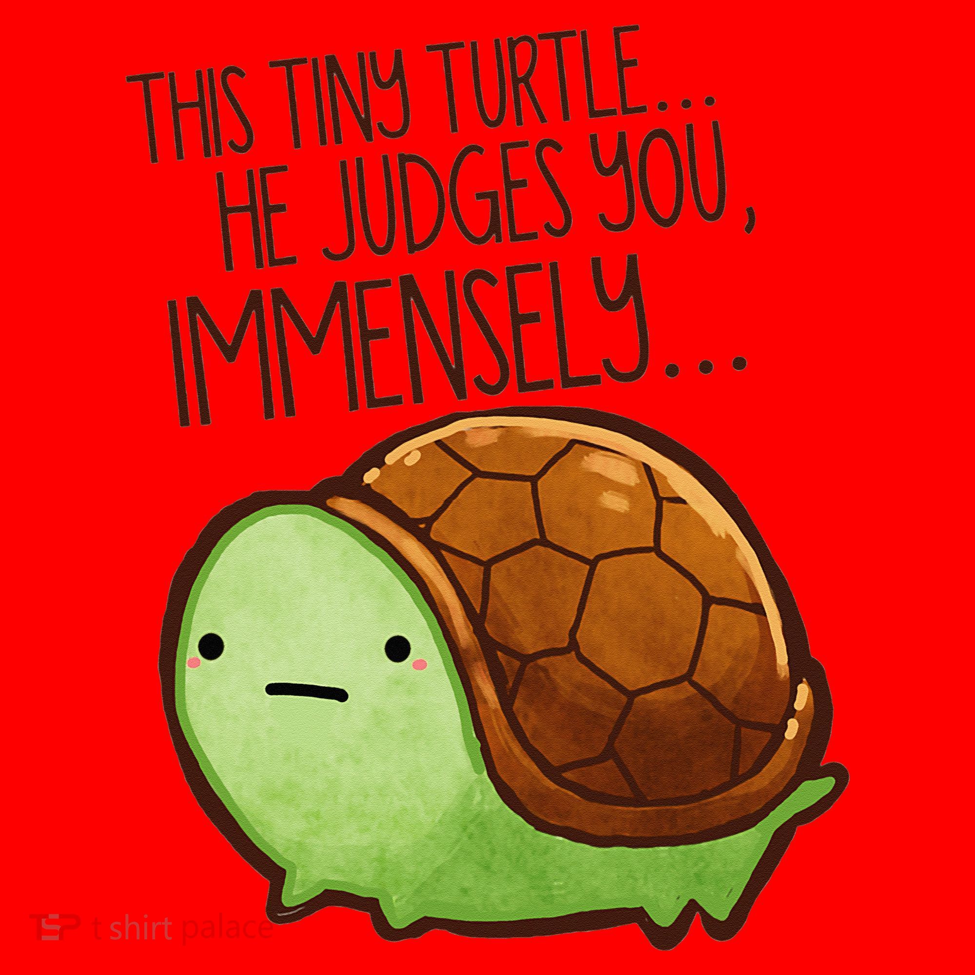 Funny This Tiny Turtle... He Judges You, Immensely. Santa Hat