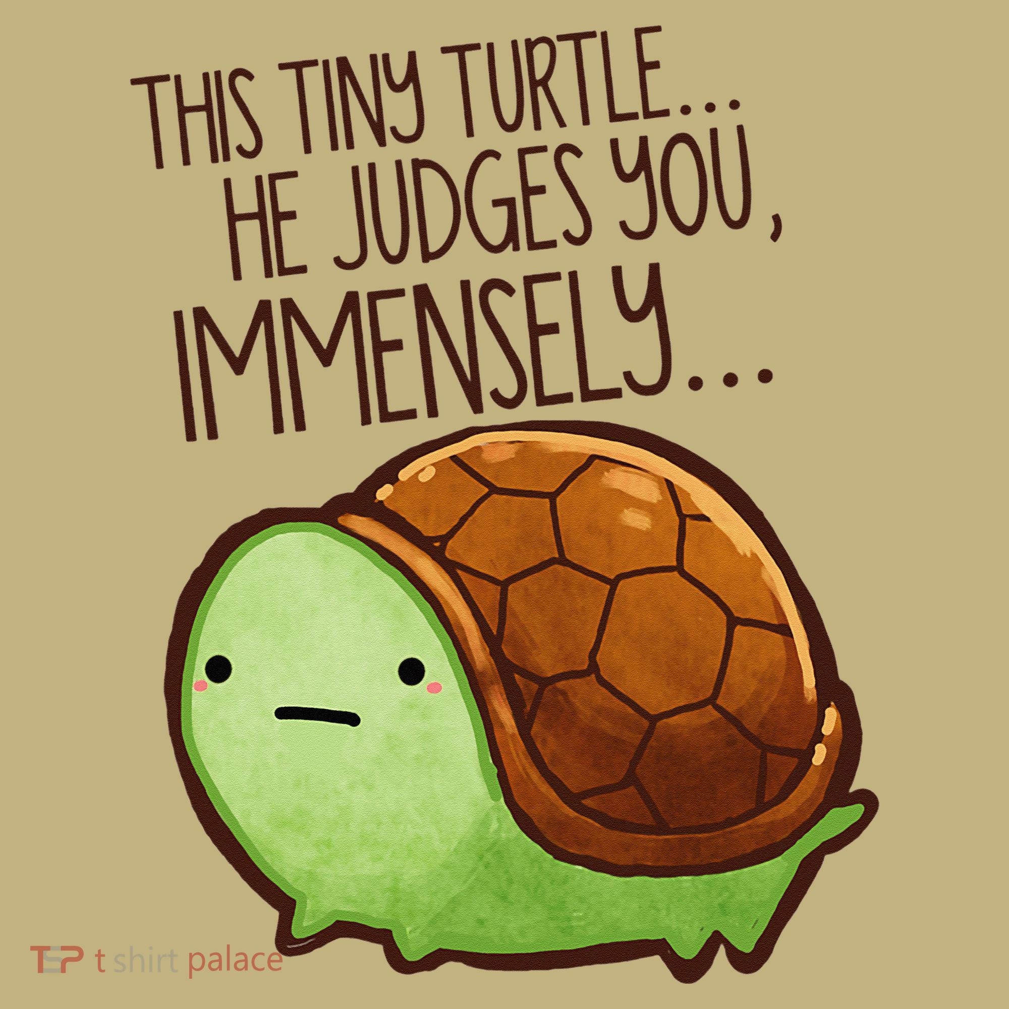 Funny This Tiny Turtle... He Judges You, Immensely. Polo