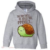 Funny This Tiny Turtle... He Judges You, Immensely. Toddler Hoodie thumb 0