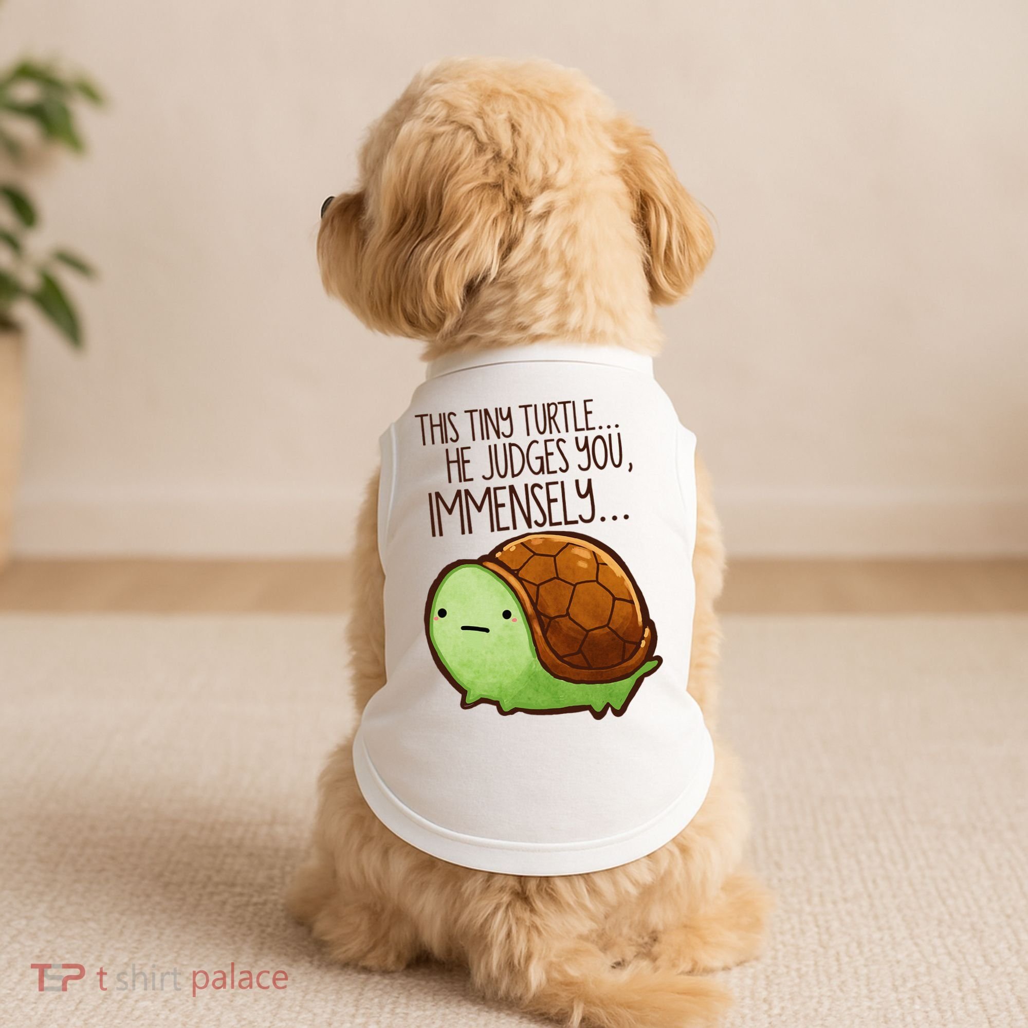 Funny This Tiny Turtle... He Judges You, Immensely. Doggie Tank