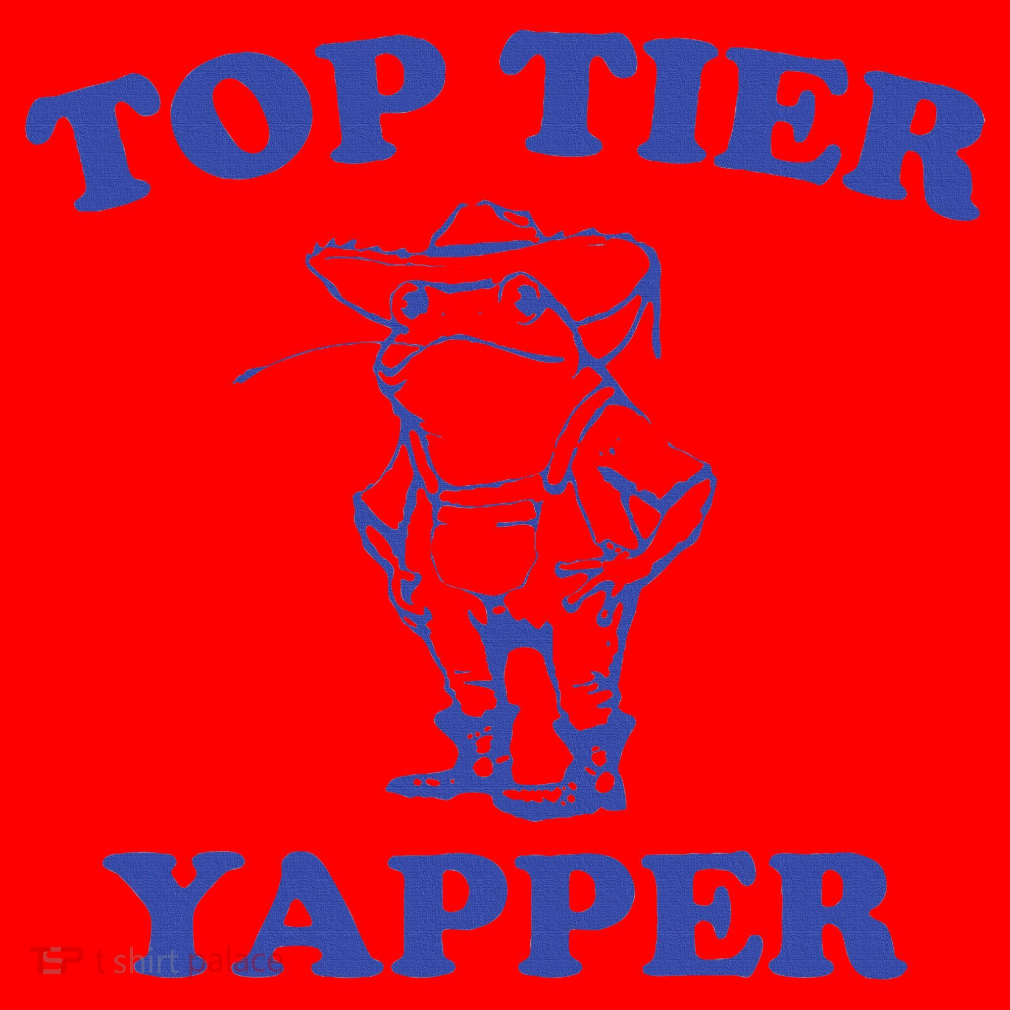 Funny Top Tier Yapper Funny Meme Cowboy Frog Yapping Quote Santa Hat