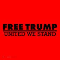 Free Donald Trump United We Stand Supporter Santa Hat thumb 1