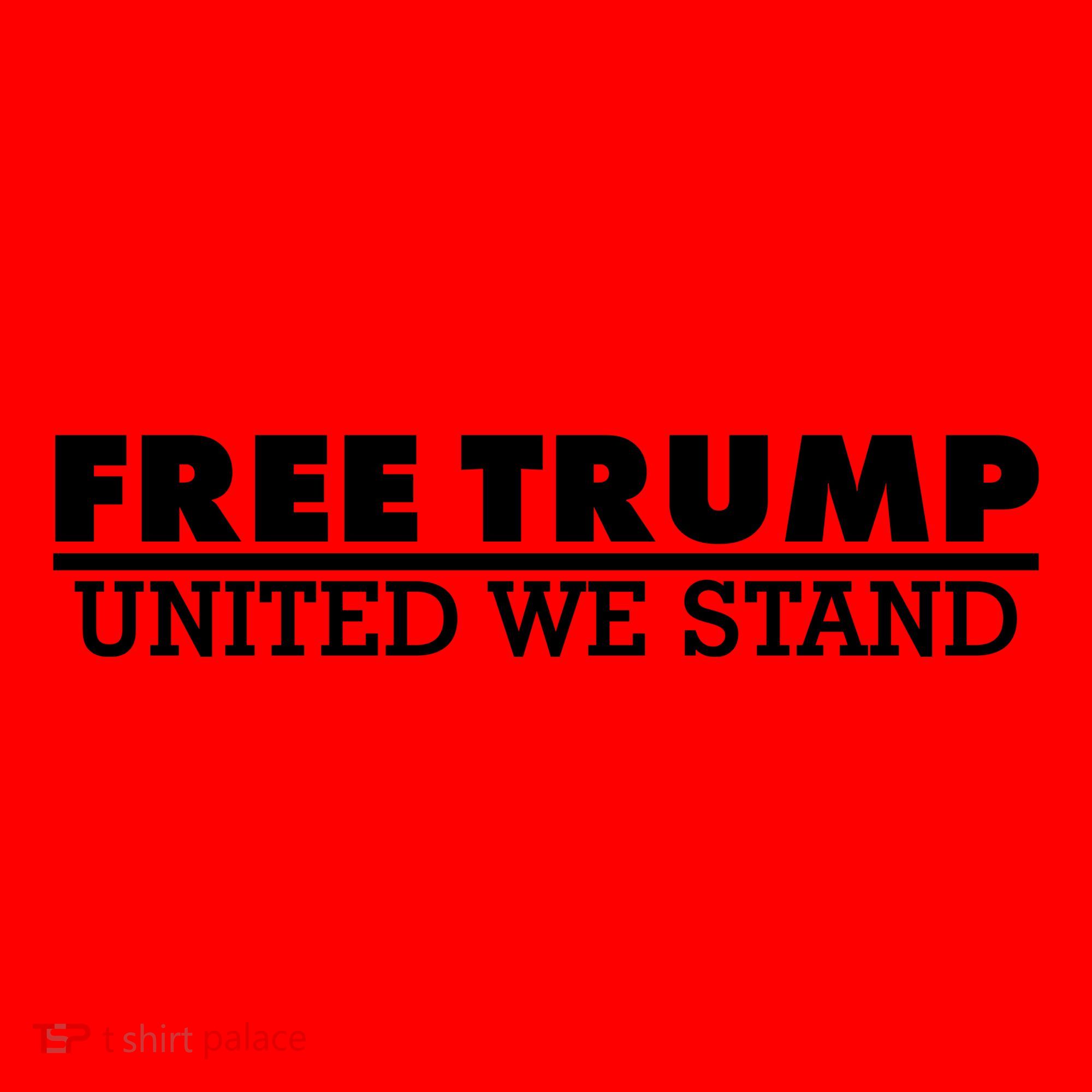 Free Donald Trump United We Stand Supporter Santa Hat