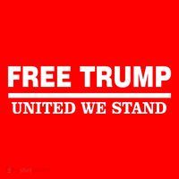 Free Trump United We Stand President Trump Supportive Toddler Hoodie thumb 2