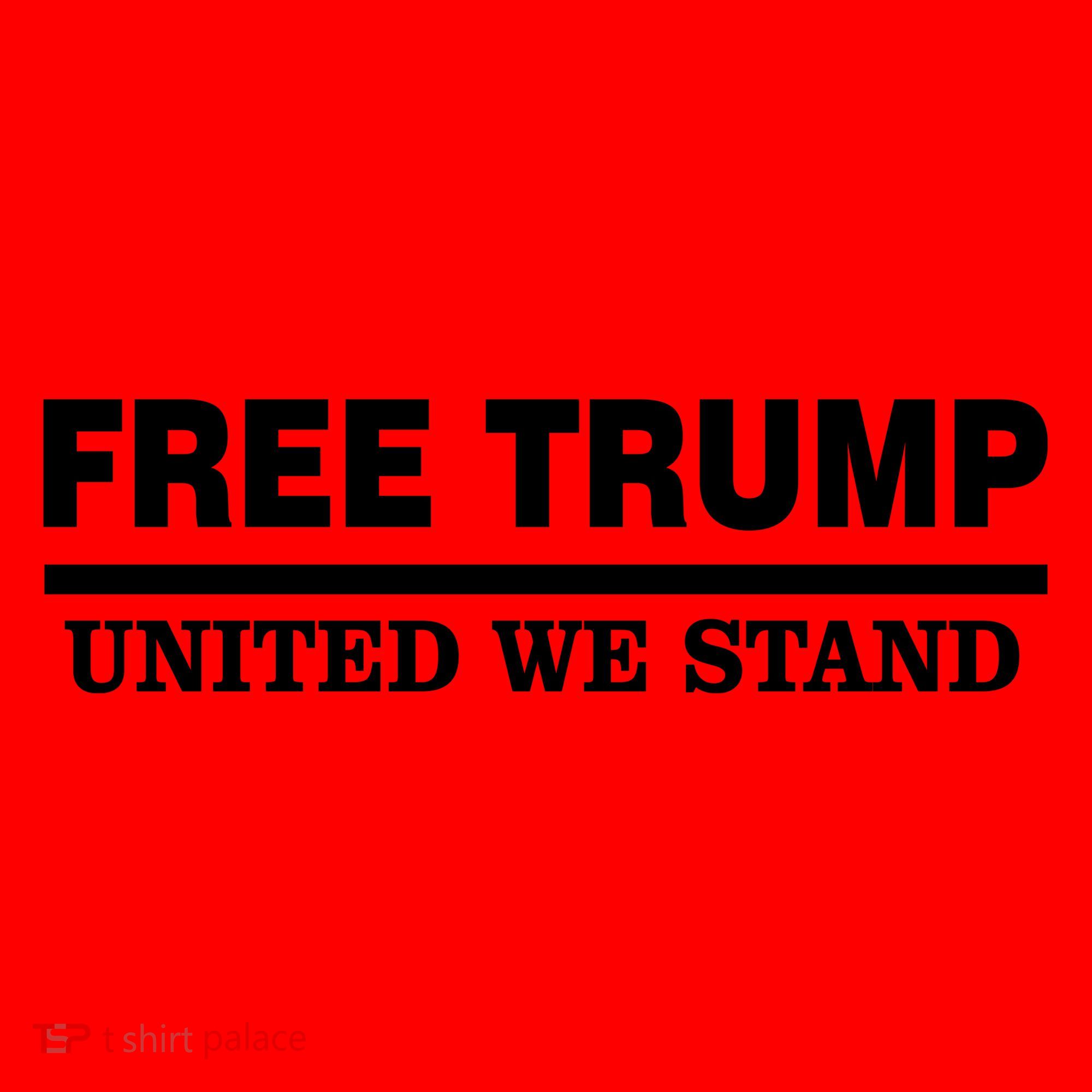 Free Trump United We Stand Santa Hat