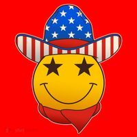 Funny USA American Flag Cowboy Smiley Emoji Santa Hat thumb 1