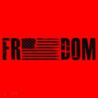 Freedom USA American Flag Pride Proud Patriot Santa Hat thumb 1