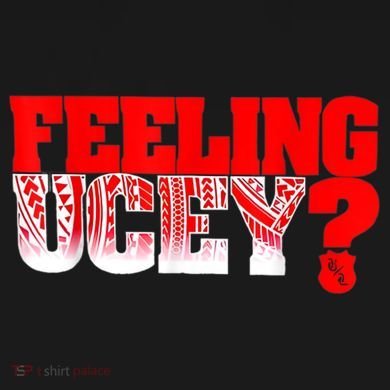 Feeling Ucey Flexfit Unipanel Trucker Cap
