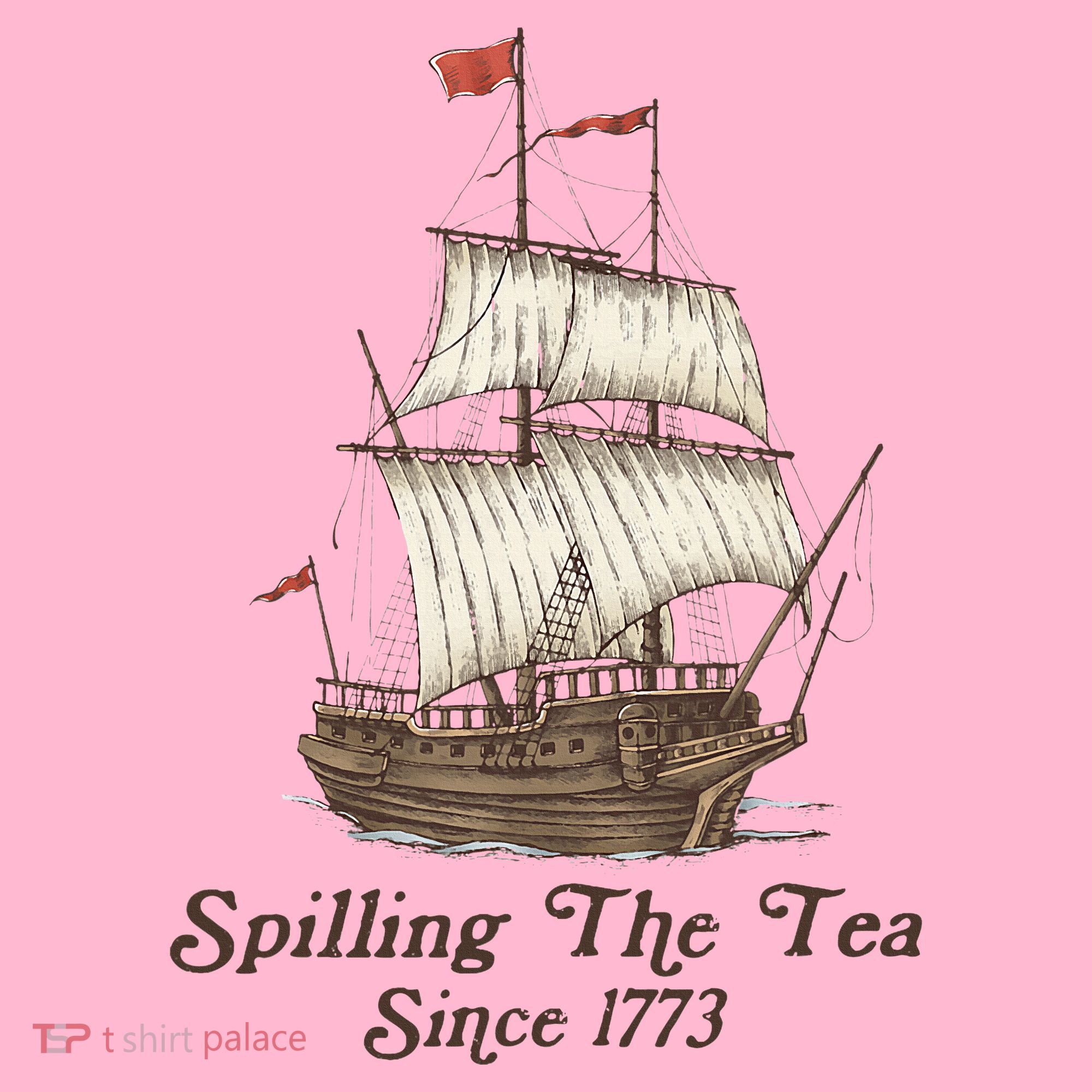 Funny Us History Teacher Boston Spilling The Tea Since 1773 Coaster