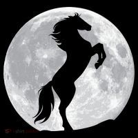 Full Moon Horse USA-Made Doggie Bandana thumb 2