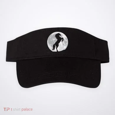Visor