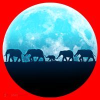 Full Moon With Elephant Family Santa Hat thumb 1