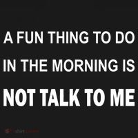 Fun Thing To Do In The Morning Is Not Talk To Me Sarcastic Toddler Hoodie thumb 2