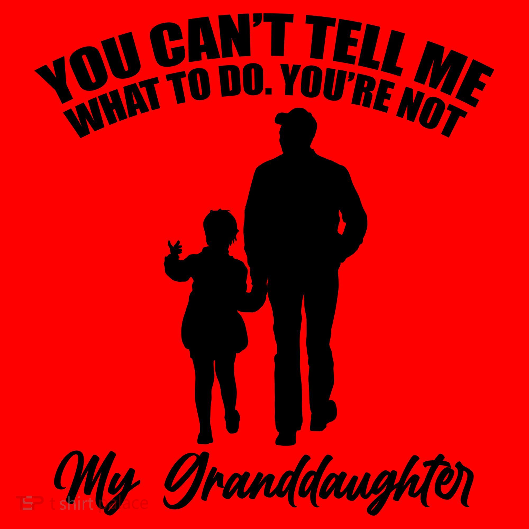 Funny & Cute Granddaughter And Grandfather Santa Hat