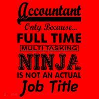 Funny Accountant Full Time Ninja Santa Hat thumb 1